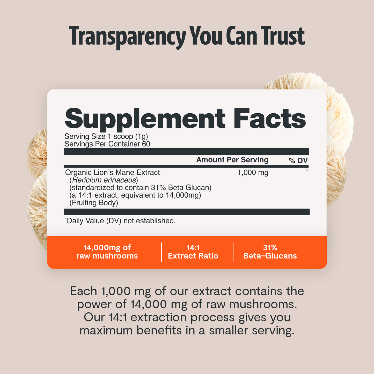 Ultimate Mushroom Complex Capsules